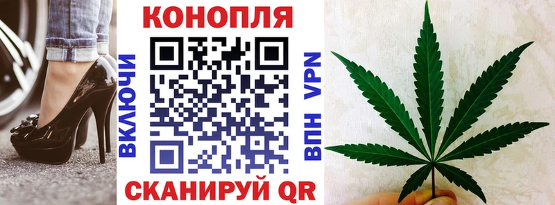 Канабис OG Kush Пермь